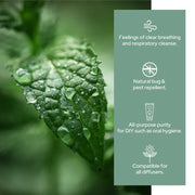 Plant of Life Tea Tree Essential Oil (120 ml)