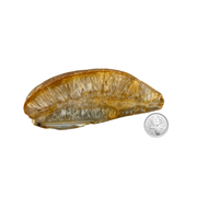 Natural Thick Agate Slice - 4.5-7.0 inch