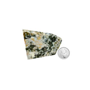 Ocean Jasper Slab - 2-4.25 inch