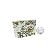 Ocean Jasper Slab - 2-4.25 inch