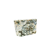 Ocean Jasper Slab - 2-4.25 inch