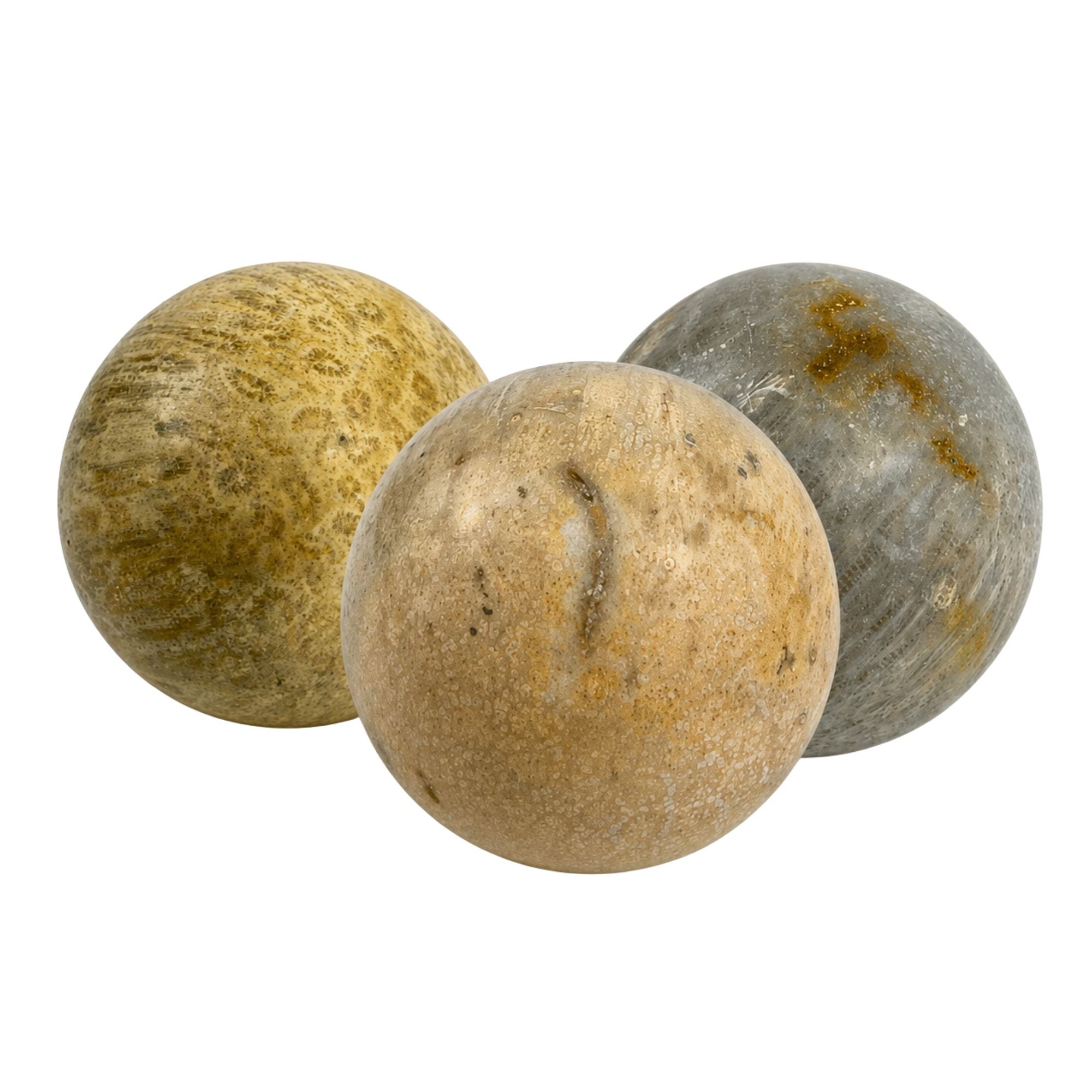 Fossil Coral Sphere - 2.0-2.25 inch