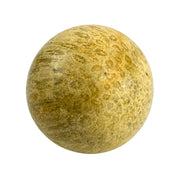 Fossil Coral Sphere - 2.0-2.25 inch