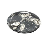 Ammonite Fossil Plate - 7.0-8.0 inch