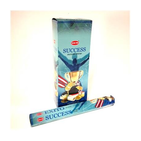 HEM Success Incense Sticks (20g)