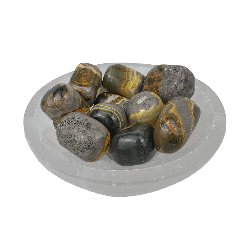 Bumblebee Jasper Tumbled Stone - 20-35 mm