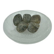 Clinochlore Quartz Tumbled Stone - 20-30 mm