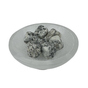 Dalmatian Jasper Tumbled Stone - 15-30 mm