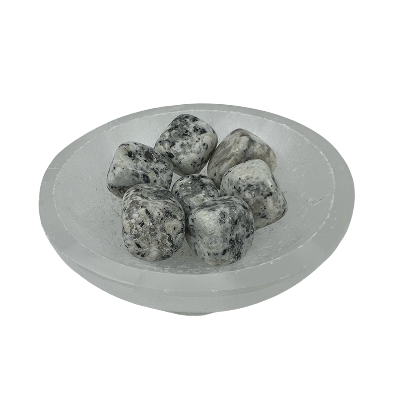 Dalmatian Jasper Tumbled Stone - 15-30 mm
