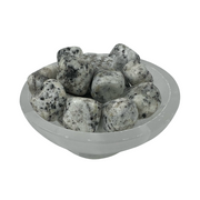 Dalmatian Jasper Tumbled Stone - 15-30 mm