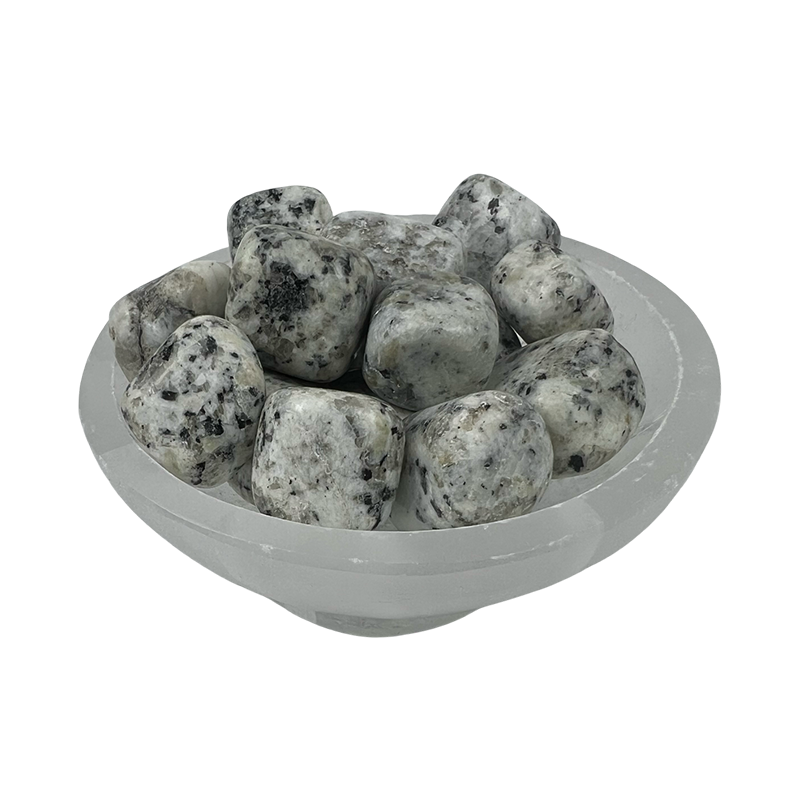 Dalmatian Jasper Tumbled Stone - 15-30 mm