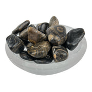 Stromatolite Tumbled Stone - 20-40 mm