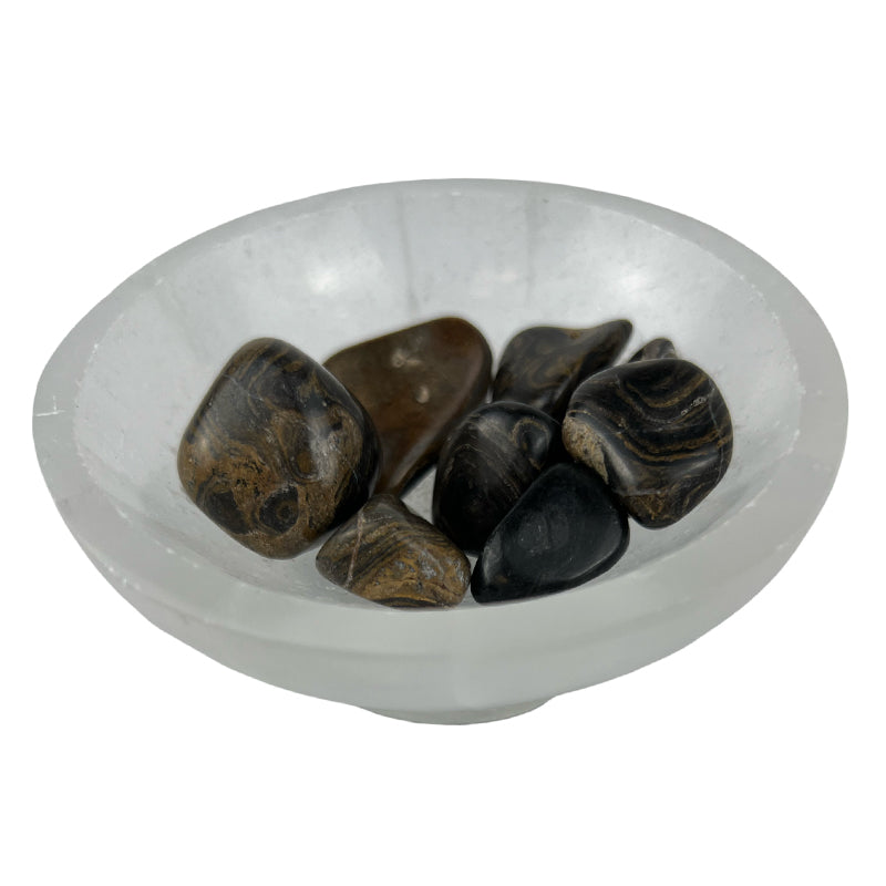 Stromatolite Tumbled Stone - 20-40 mm