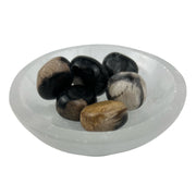 Petrified Wood Tumbled Stone - 15-35 mm