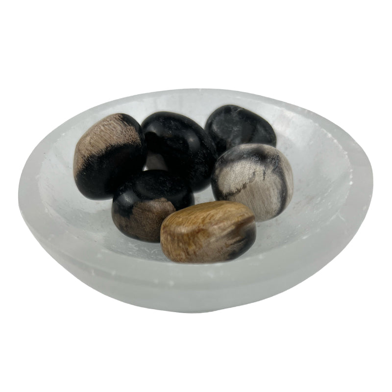Petrified Wood Tumbled Stone - 15-35 mm