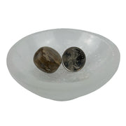 Petrified Wood Tumbled Stone - 15-35 mm