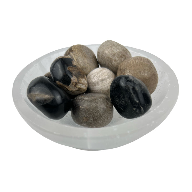 Petrified Wood Tumbled Stone - 15-35 mm