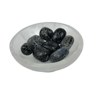 Fossil Crinoids Tumbled Stone - 15-30 mm