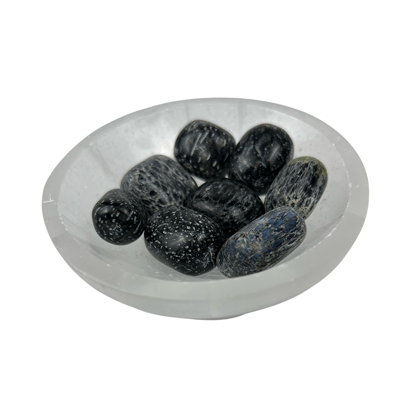 Fossil Crinoids Tumbled Stone - 15-30 mm