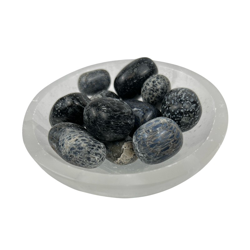 Fossil Crinoids Tumbled Stone - 15-30 mm