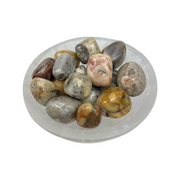 Crazy Lace Agate Tumbled Stone - 15-30 mm