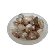 Quartz with Seaweed Rutile Tumbled Stone - 15-30 mm