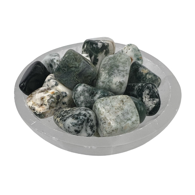 Moss Agate Tumbled Stone - 30-45 mm