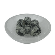 Dalmatian Jasper Tumbled Stone - 20-30 mm
