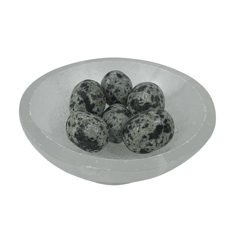 Dalmatian Jasper Tumbled Stone - 20-30 mm