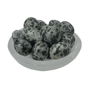 Dalmatian Jasper Tumbled Stone - 20-30 mm