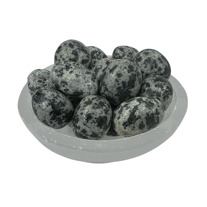 Dalmatian Jasper Tumbled Stone - 20-30 mm