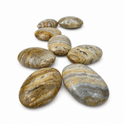 Desert Jasper Palm Stone - 2.5-3.0 inch