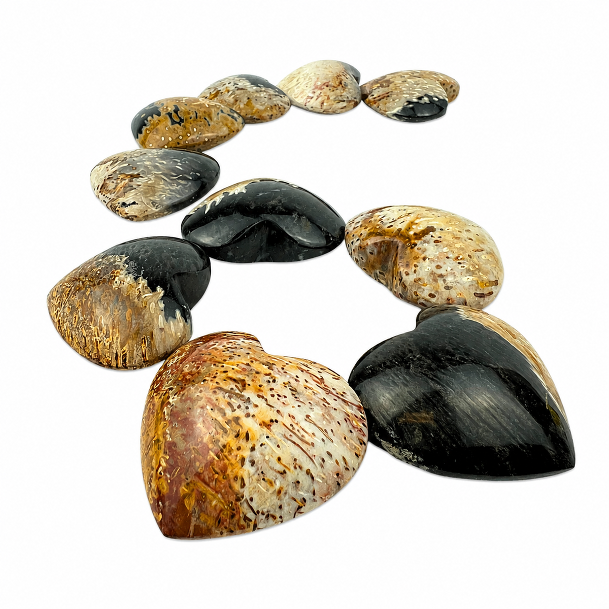 Palm Root Fossil Heart - 1.75-2 inch