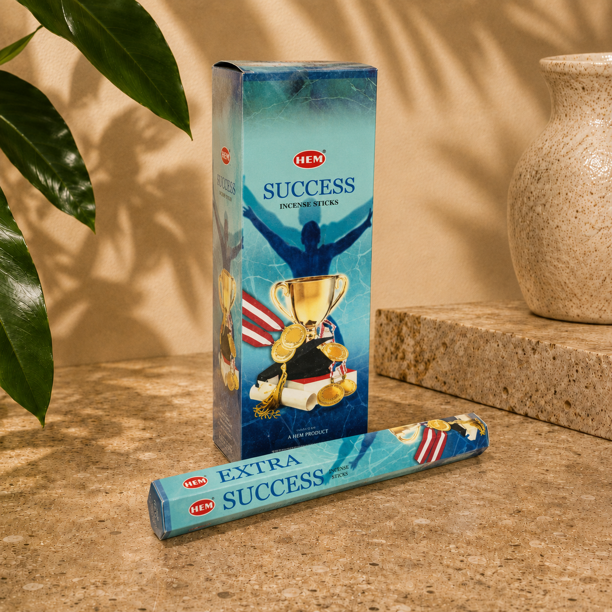 HEM Success Incense Sticks (20g)