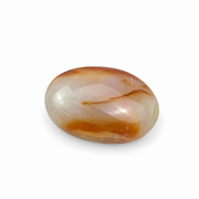 Agate Palm Stone - 1.5-2.75 inch