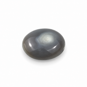 Agate Palm Stone - 1.5-2.75 inch