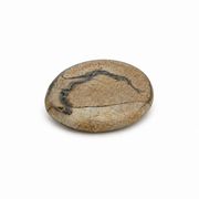Picasso Jasper Worry Stone - 2 inch