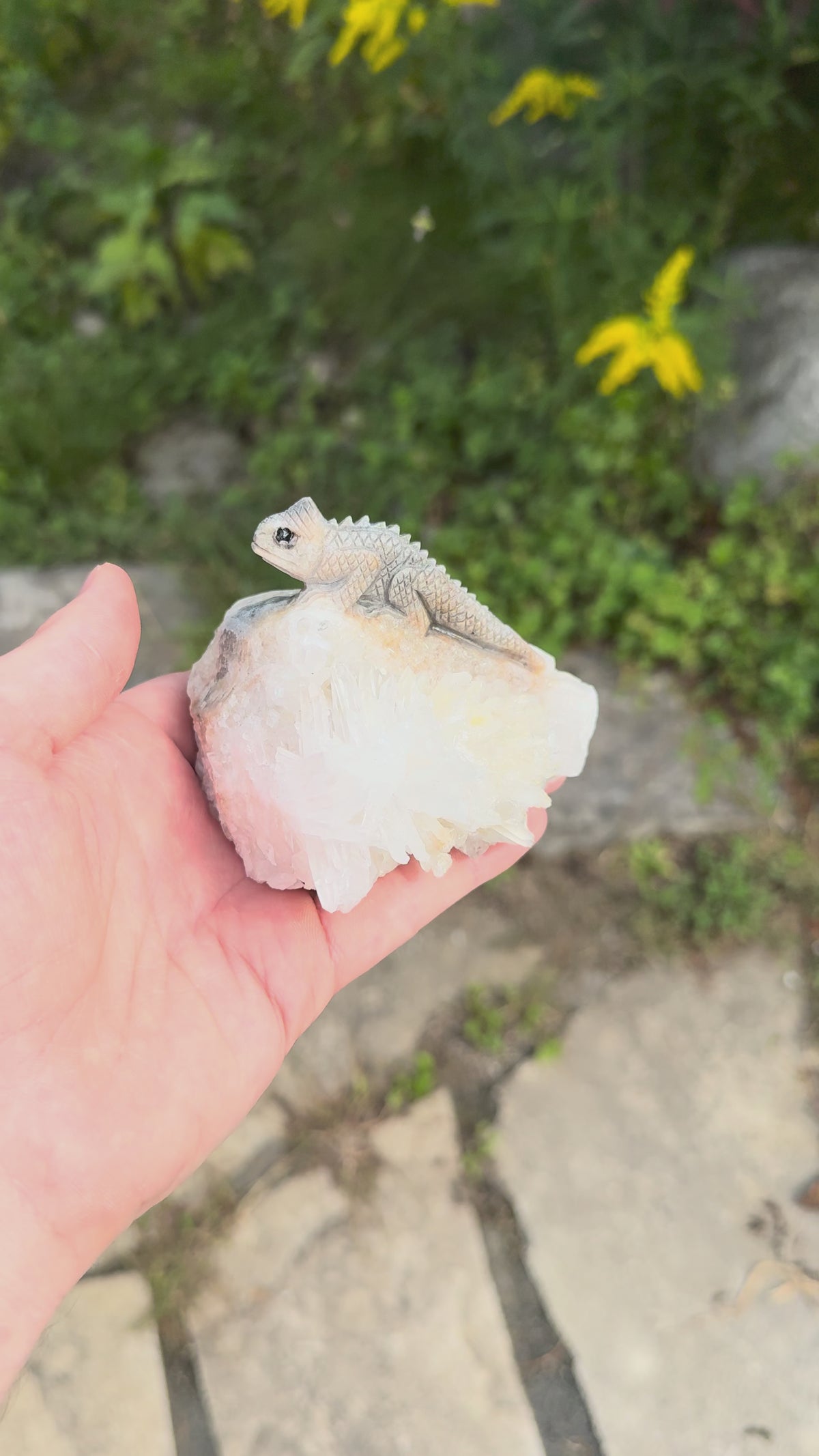crystal cluster lizard